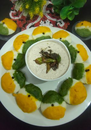 A picture of Tiranga Idli.
