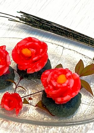 A picture of Camellia Mochi🇯🇵.