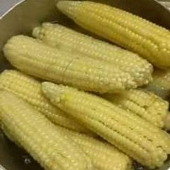 Boiled maize (corn) A picture of Boiled maize (corn).