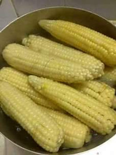 A picture of Boiled maize (corn).