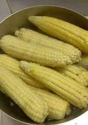 A picture of Boiled maize (corn).