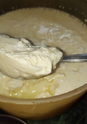 A picture of Thick curd homemade.
