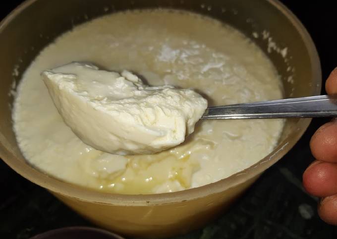 Thick curd homemade Recipe by Deepika Pushkar Sinha ______#DDV😘 - Cookpad