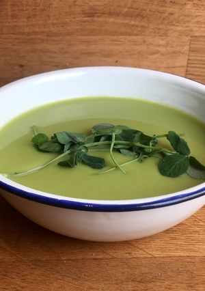 A picture of Pea and Pea Shoot soup 🌱.