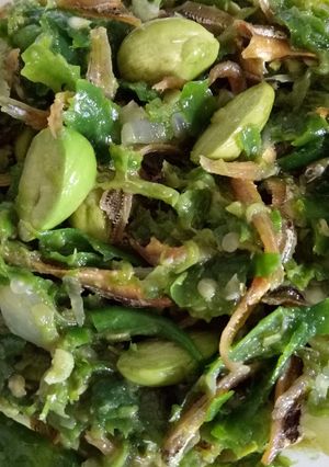 Foto resep Samba Lado mudo tri + petai