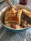 Katsudon vegetariano
