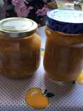 Mermelada de naranja (ll)