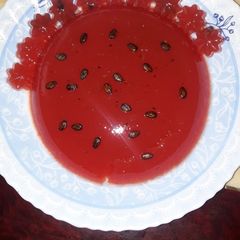 A picture of Watermelon pudding.
