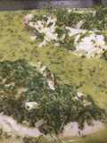 Green Sauce w/ Red Snapper