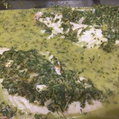 A picture of Green Sauce w/ Red Snapper.