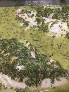 A picture of Green Sauce w/ Red Snapper.
