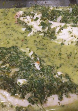 A picture of Green Sauce w/ Red Snapper.