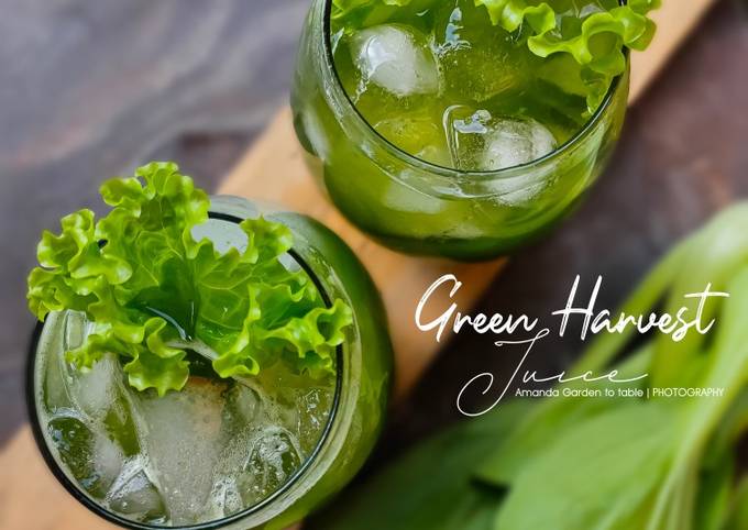 Recipe: Appetizing Green Harvest Juice