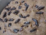 खजूर केक (शुगर फ्री) (Khajur Cake Recipe In Marathi)