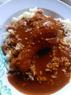 Una foto de Mole con arroz blanco