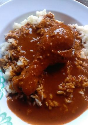 Una foto de Mole con arroz blanco