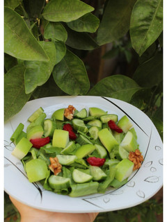 عکسی از دستور سالاد سبز