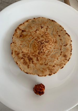 મલ્ટીગ્રેન ભાખરી (Multigrain Bhakri Recipe In Gujarati) રેસીપી મુખ્ય ફોટો