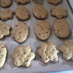 A picture of Chocolate chip cut out cookies.