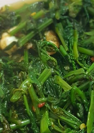 Foto resep Sayur paku dan kangkung tumis