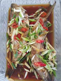 Foto resep Ikan Kerapu Steam Hongkong