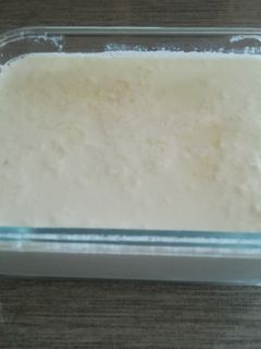 Φωτογραφία της συνταγής Γιαούρτι σπιτικό