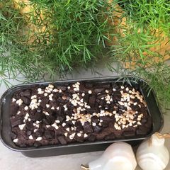 A picture of Banana chocolate loaf.