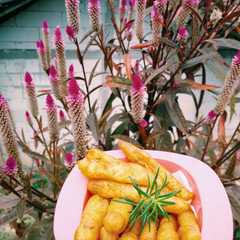 Potato chesse(snack Mpasi 1 tahun) রেসিপির প্রধান ছবি