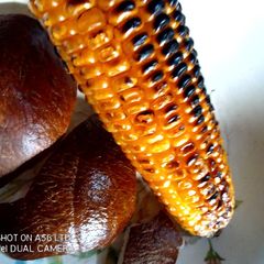A picture of Coconut and Roasted Corn Snacks.