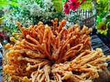Cendawan Enoki Goreng Rangup