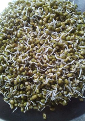 A picture of Sprouted moong.