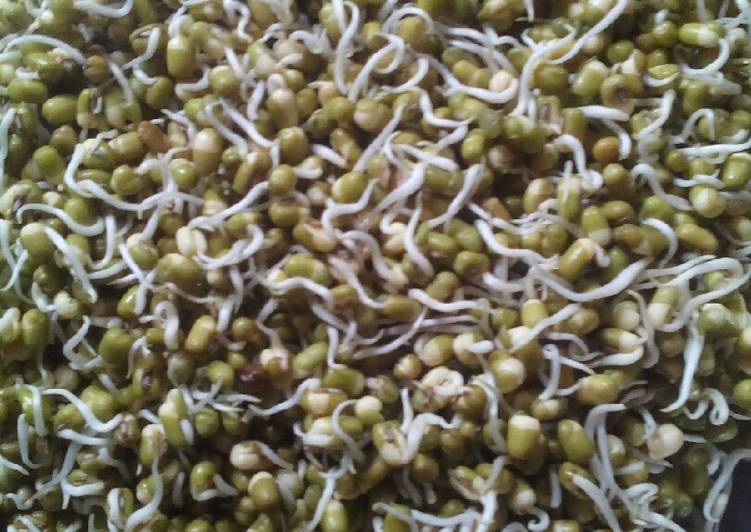 Sprouted moong
