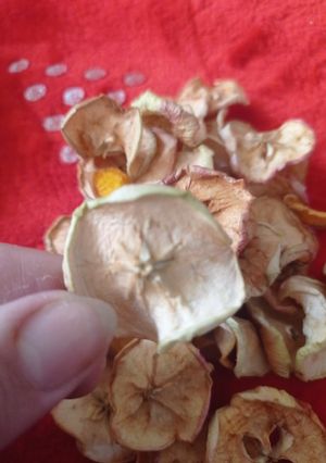 عکسی از دستور میوه خشک 🍏سیب 🍏