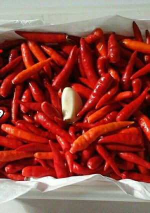 Foto resep Tips Menyimpan Cabe Agar Tahan Lama