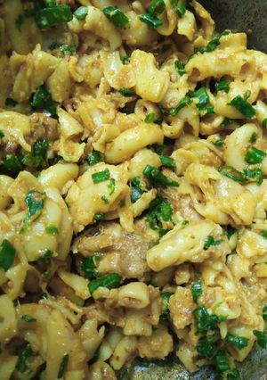 A picture of Tikka macroni.