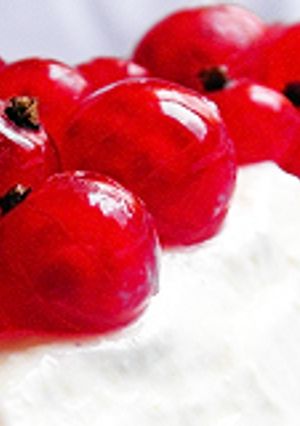 Tejszínes túrótorta recept fotója