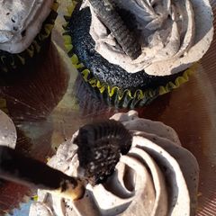 A picture of "Dachoreo" [dark chocolate and oreo] cupcakes.