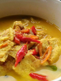 Foto resep Telur Dadar Kuah Kuning