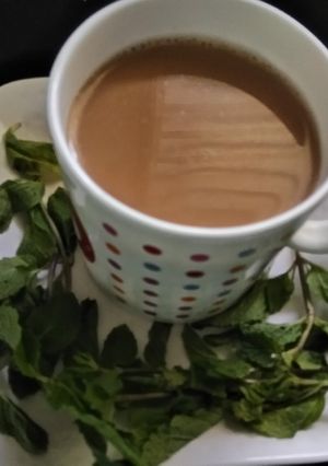 A picture of Masala Mint Tea.