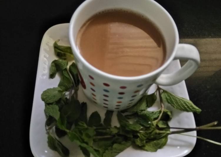 Steps to Make Favorite Masala Mint Tea