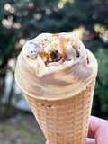 Barabrith hufen iâ – Welsh cake ice cream