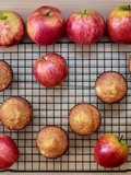 Muffins/ Magdalenas harina integral con manzana 🧁 fácil, económica y con tips para principiantes 🍎