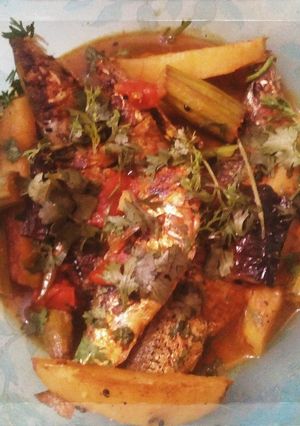 A picture of Drumstrick fish.