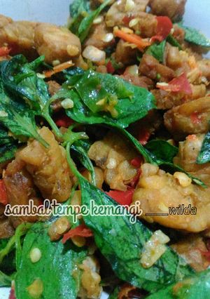 Foto resep Sambal Tempe Kemangi syedaaap