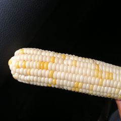 A picture of Masara Dafaffiyah 😋🌽.