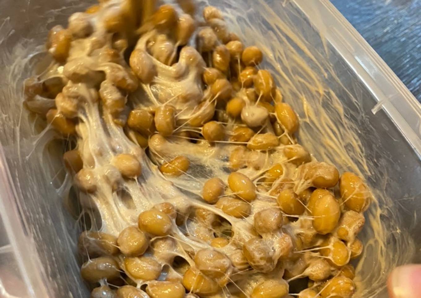 Ferment Natto at home