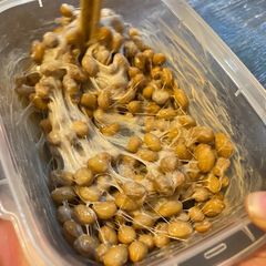 Ferment Natto at home A picture of Ferment Natto at home.