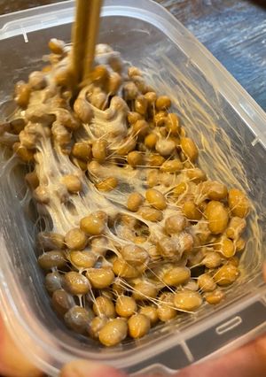 A picture of Ferment Natto at home.