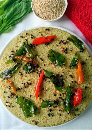A picture of Spinach millet dhokla.