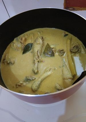 Foto resep Opor ayam kampung
